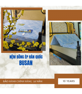 Nệm Bông Ép BUSAN