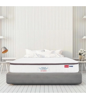 Nệm Lò Xo túi Dunlopillo Spine O Master