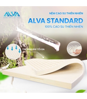 Nệm cao su Alva Standard