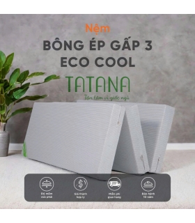 Nệm bông ép Eco Cool TATANA (Gấp 3, thẳng)